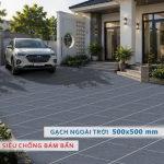Gạch ngoài trời TK 5502