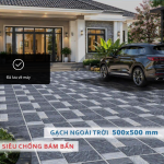 Gạch ngoài trời TK 5501